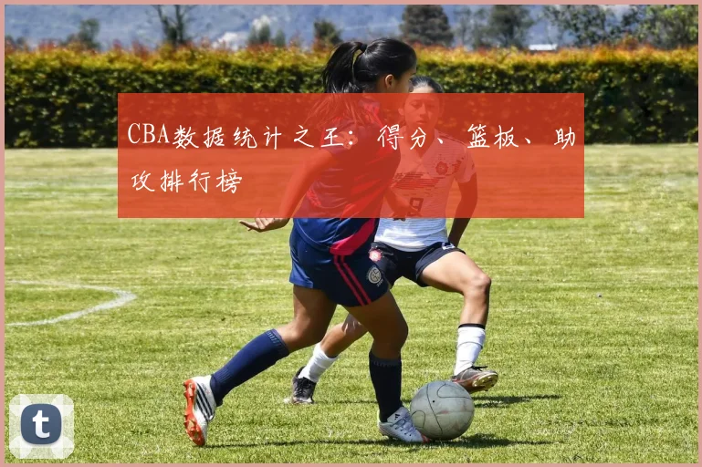 CBA数据统计之王:得分、篮板、助攻排行榜